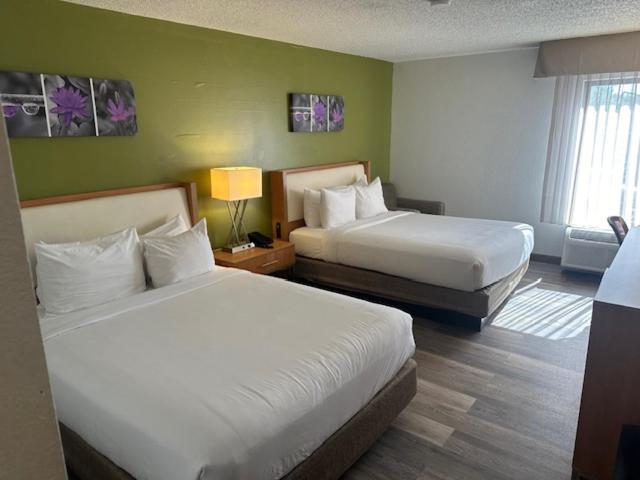 Sleep Inn & Suites Memphis Eksteriør bilde